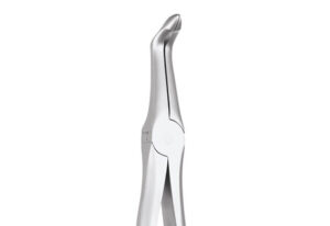 SECURE FORCEPS LOWER ROOTS