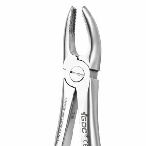 UPPER MOLARS RIGHT