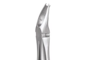 UPPER MOLARS RIGHT ERGONOMIC-89