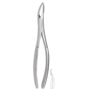 UNIVERSAL UPPER ROOTS-FX221