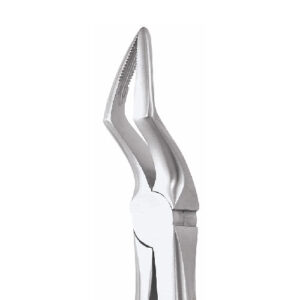 UPPER ROOT FORCEPS-51AP