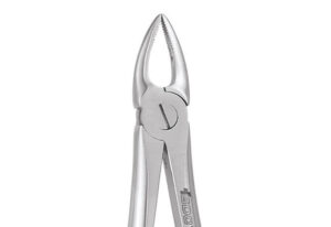 UPPER ROOT NARROW