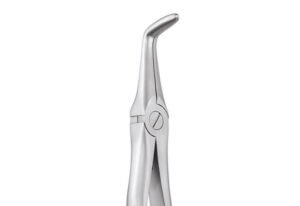 SECURE FORCEPS LOWER ROOTS