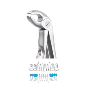 LOWER MOLAR PEDO PREMIUM-FX2CP