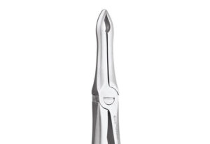 UPPER ROOT FORCEPS-41P