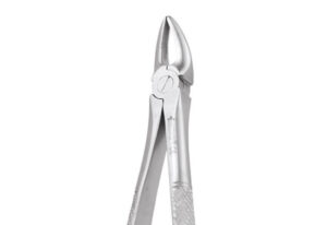 UPPER ROOT FORCEPS