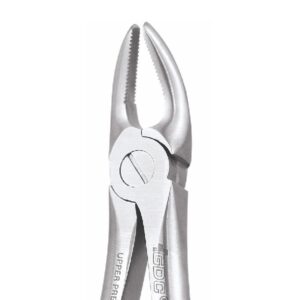 UPPER PREMOLARS-7 ERGONOMIC