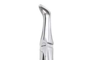 LOWER ROOT FORCEPS