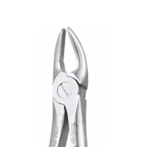 UPPER PREMOLARS FORCEPS