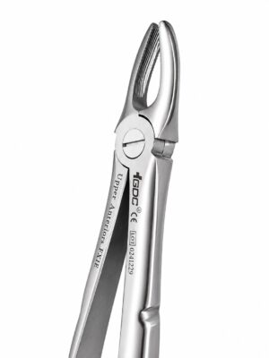 UPPER ANTERIORS- ERGONOMIC