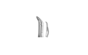 LOWER INCISOR CANINE PREMOLARS ROOT #F151