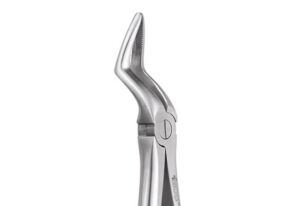 UPPER ROOTS BAYONET-51S