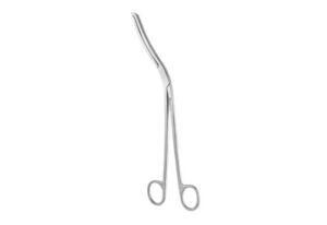 CHEATLE FORCEP