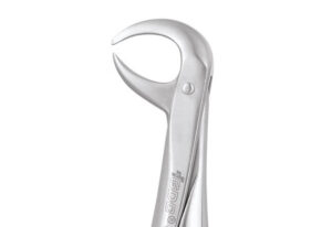 LOWER MOLARS PREMIUM-86CP