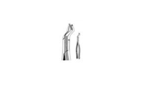 FIRST & SECOND UPPER MOLAR TEETH RIGHT #F88R