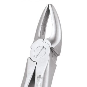 UPPER ROOT FORCEPS