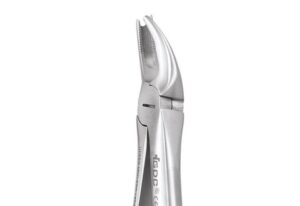 UPPER MOLARS LEFT-90P
