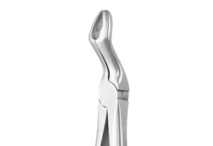 UPPER THIRD MOLARS- 67AP