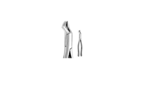 FIRST & SECOND UPPER MOLAR TEETH LEFT #F53L