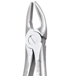 UPPER PREMOLARS PREMIUM