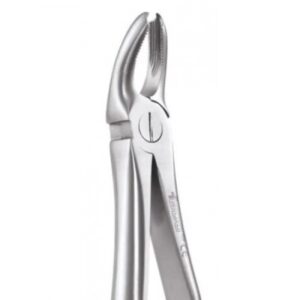 UPPER MOLAR FORCEPS