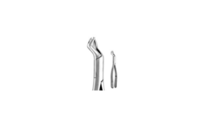 FIRST & SECOND UPPER MOLAR TEETH LEFT