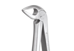 LOWER ROOT FORCEPS