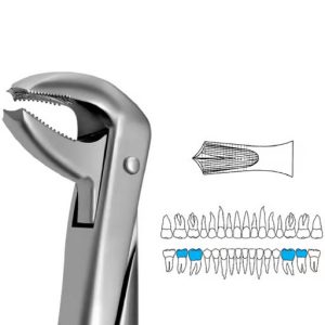 LOWER MOLAR FORCEPS- FX73S