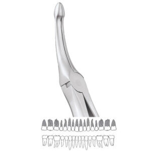 EXTRACTION FORCEPS UPPER ROOT NO 944.01 SECURE (SFX944.01)