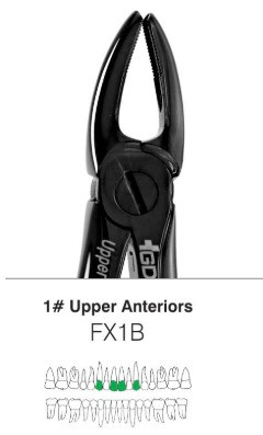 EXTRACTION FORCEPS BLACK LINE -FX1B