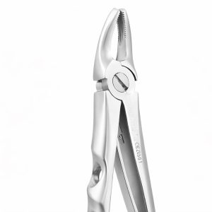 UPPER PREMOLAR PEDO STANDARD (FX4CS)