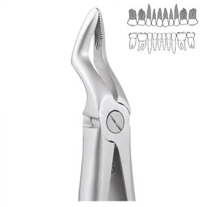 UPPER ROOT PEDO STANDARD-FX7CS