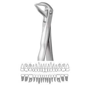 Extraction Forceps Lower Roots - 959.01 Secure (SFX959.01)