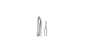 UPPER INCISOR CANINE PREMOLARS ROOT #F150