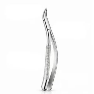 American Forcep Tomes Upper & Lower Fragments & Roots # 69 (F69)