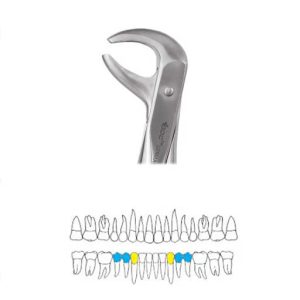 Extraction Forceps Lower Premolars - 75 Premium (Fx75P)