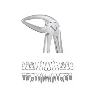 Extraction Forceps Lower Roots - 33L Standard (FX33LS)