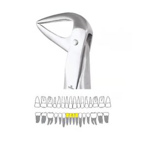 Extraction Forceps Lower Roots - 74N Standard (FX74NS)